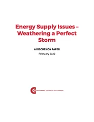 Energy Supply Issues – Weathering a Perfect Storm - PDF